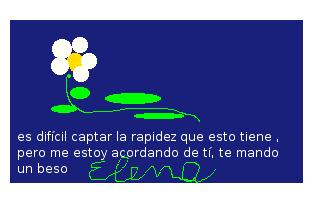 mi primera margarita