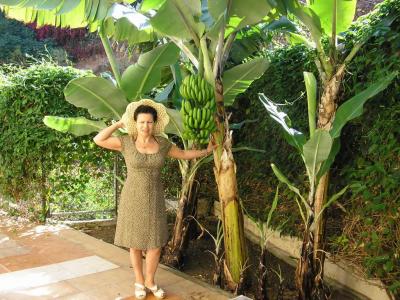 OTRA M&Aacute;S EN TENERIFE