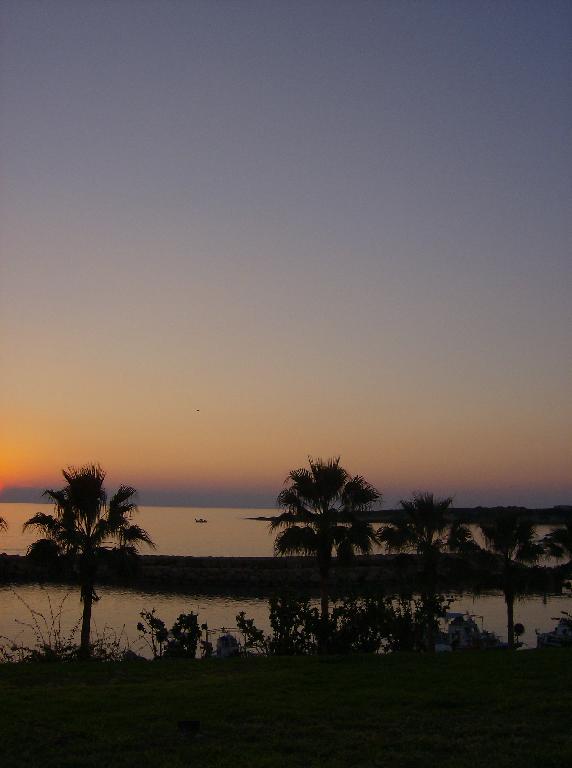 VIAJE A CHIPRE DE VICENT