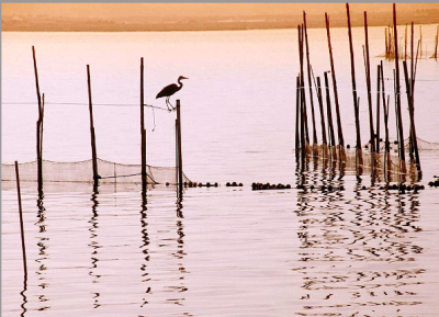 ALBUFERA DE VALENCIA