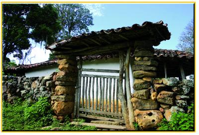 GUAPOTÁ ( SAN MARTÍN )