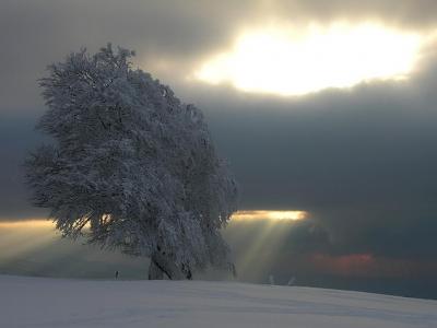 VIAJE A SANTO DOMINGO DE SILOX NOV 2008
