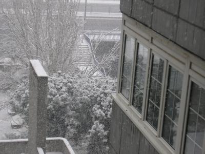 VISTA DESDE MI VENTANA